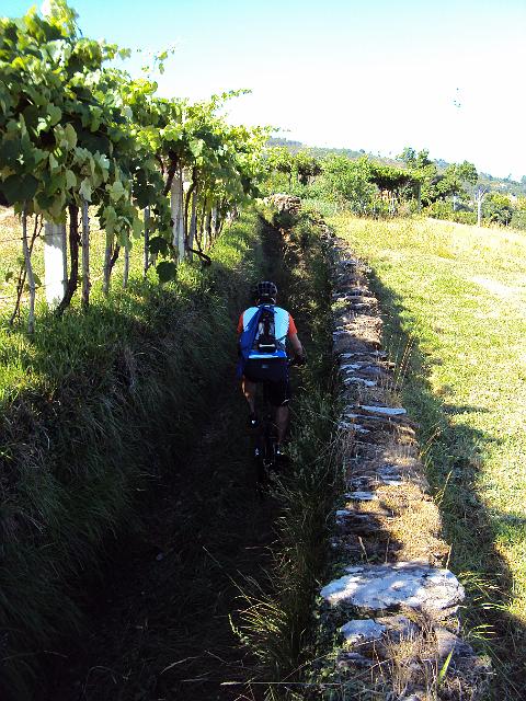 201-Pelo caminho certo.jpg